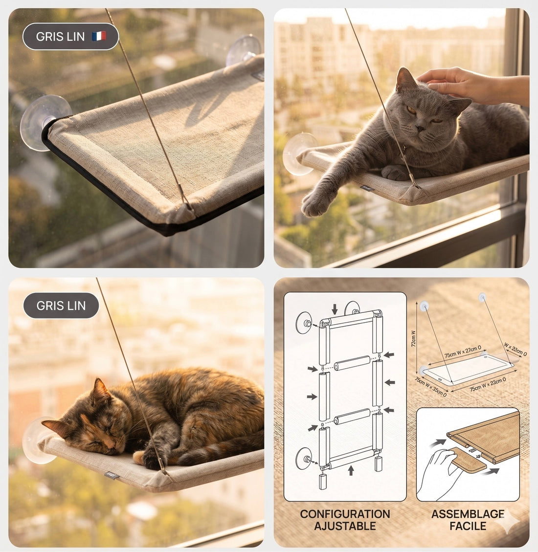 Comment savoir si votre chat est heureux
