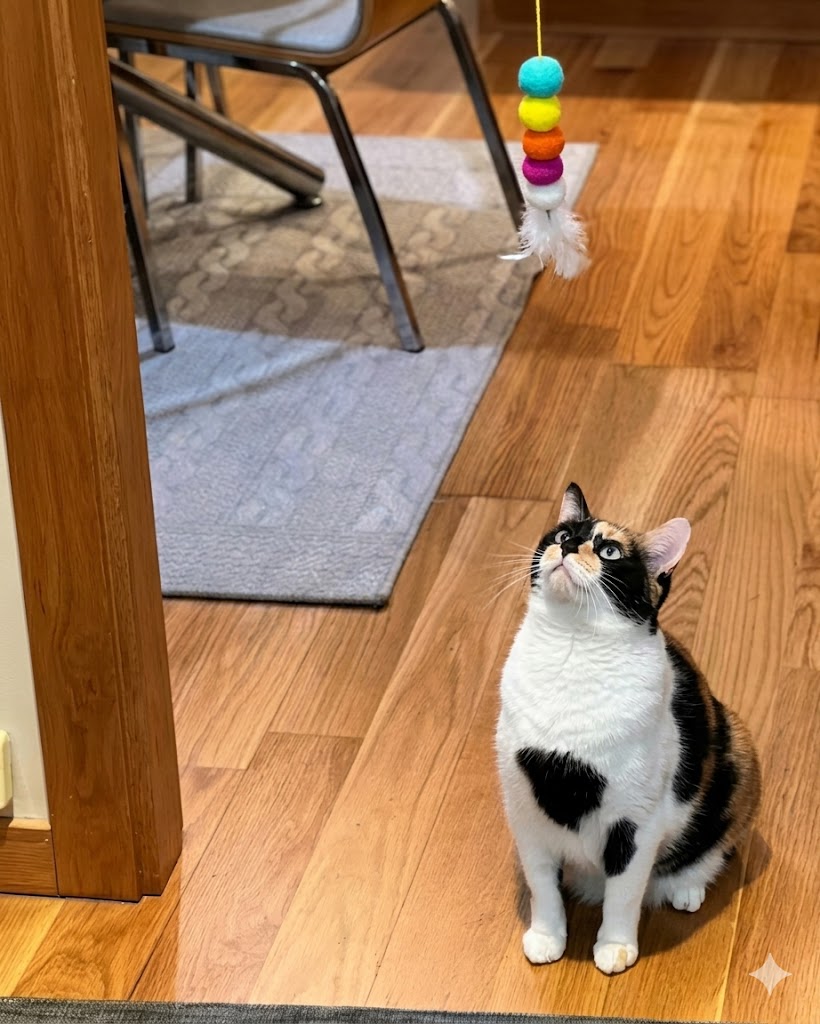 Jouet électrique interactif pour chat - vue 4